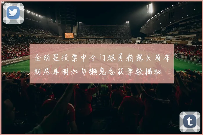 全明星投票中冷门球员崭露头角布朗尼库明加与獭兔各获票数揭秘